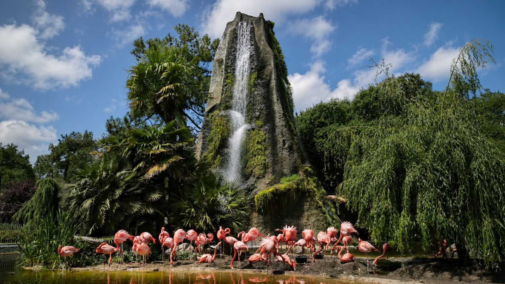 Zoo de La Palmyre animaux en liberté